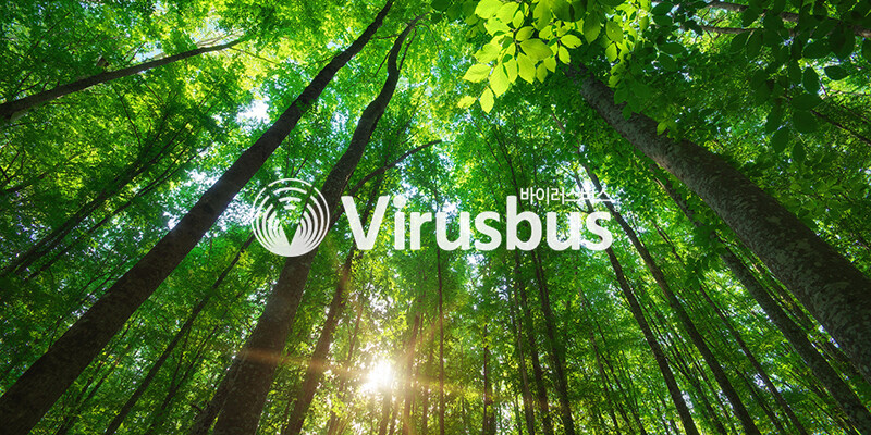 Virusbus FAQ 09